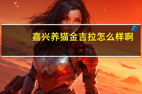 嘉兴养猫金吉拉怎么样啊