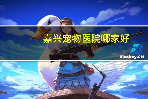嘉兴宠物医院哪家好