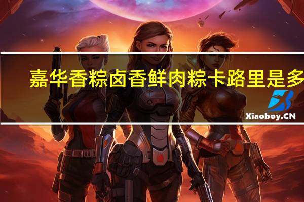 嘉华香粽 卤香鲜肉粽卡路里是多少