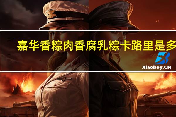 嘉华香粽 肉香腐乳粽卡路里是多少