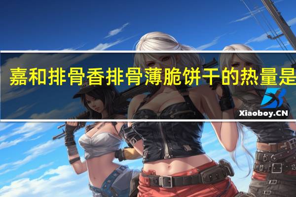 嘉和 排骨香 排骨薄脆饼干的热量是多少