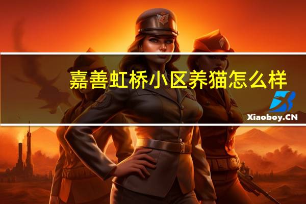 嘉善虹桥小区养猫怎么样