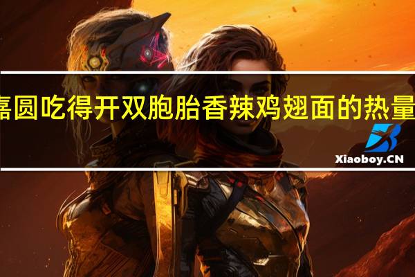 嘉圆 吃得开双胞胎香辣鸡翅面的热量是多少