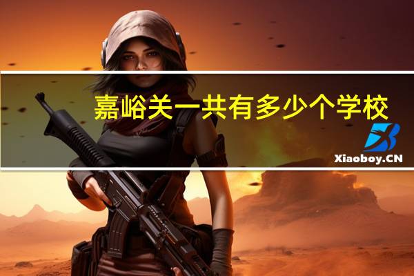 嘉峪关一共有多少个学校