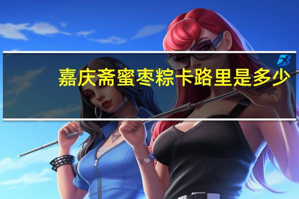 嘉庆斋蜜枣粽卡路里是多少