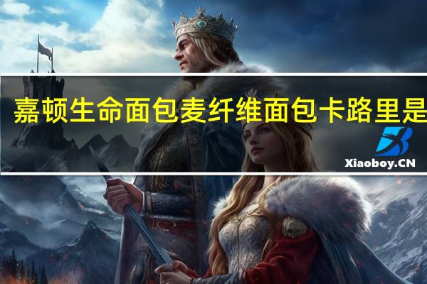嘉顿 生命面包麦纤维面包卡路里是多少