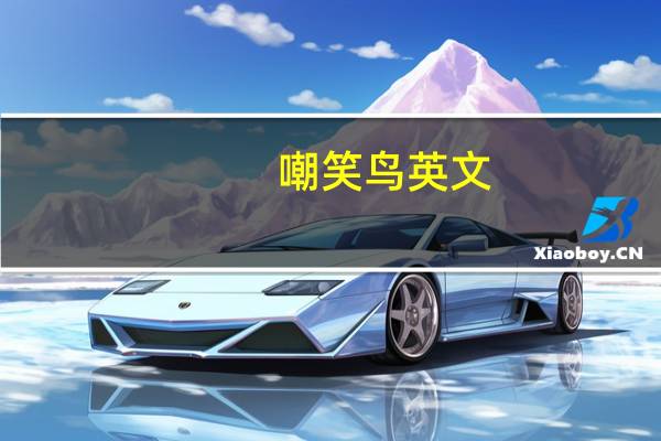 嘲笑鸟 英文（嘲笑鸟什么意思）