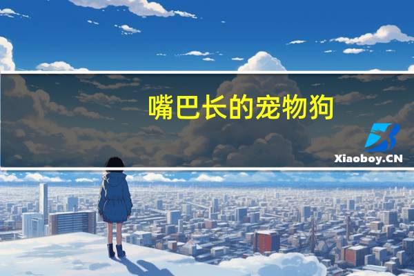 嘴巴长的宠物狗