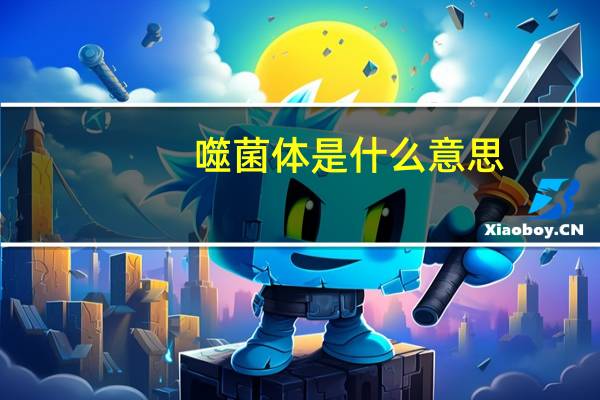 噬菌体是什么意思（噬菌体是什么）