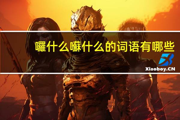 囉什么囌什么的词语有哪些?