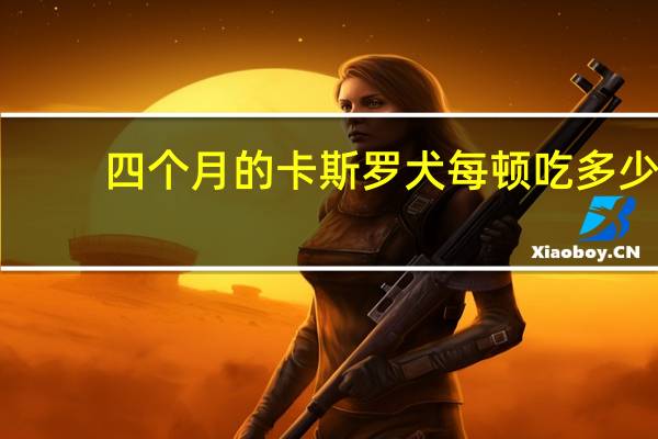 四个月的卡斯罗犬每顿吃多少