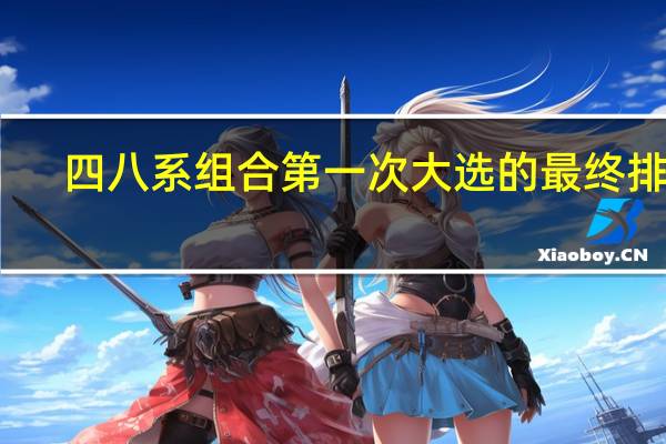 四八系组合第一次大选的最终排名