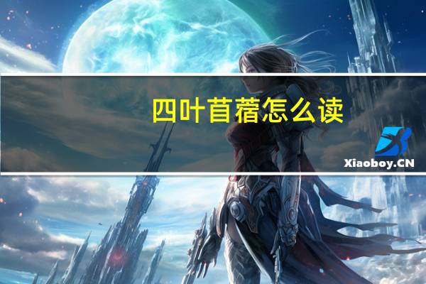 四叶苜蓿怎么读(苜蓿怎么读)