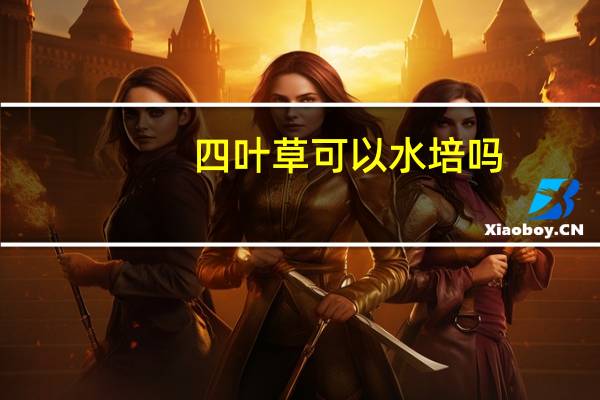 四叶草可以水培吗