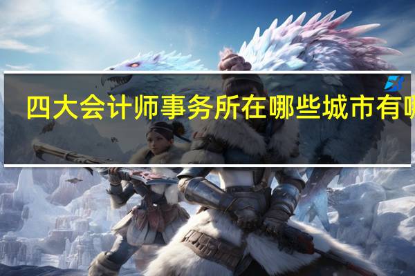 四大会计师事务所在哪些城市有哪些
