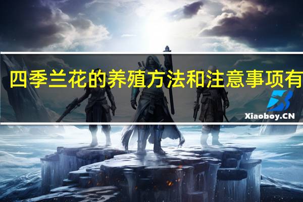 四季兰花的养殖方法和注意事项有哪些