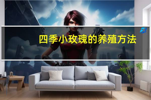 四季小玫瑰的养殖方法