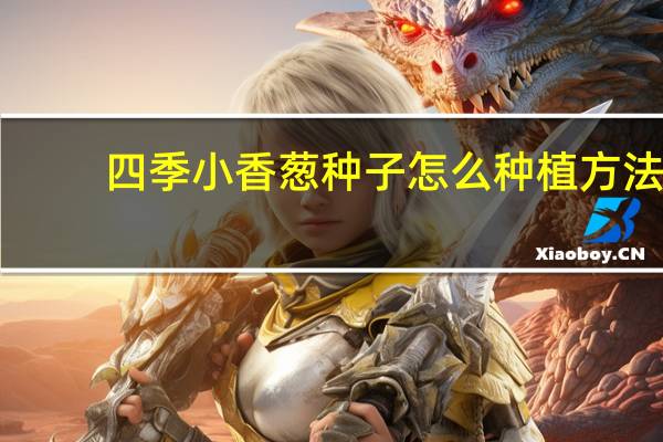 四季小香葱种子怎么种植方法