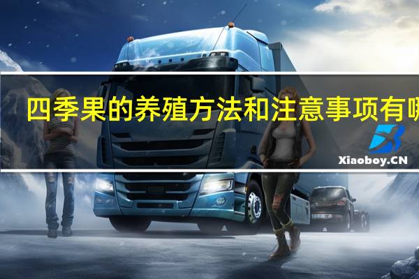 四季果的养殖方法和注意事项有哪些