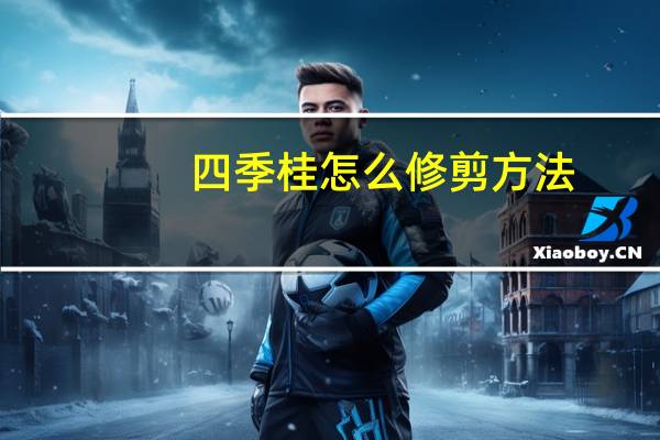 四季桂怎么修剪方法