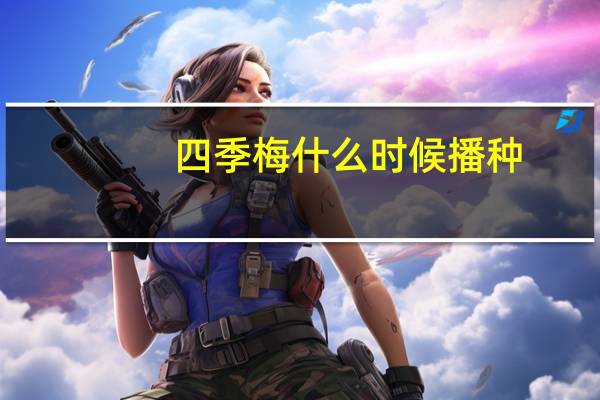 四季梅什么时候播种