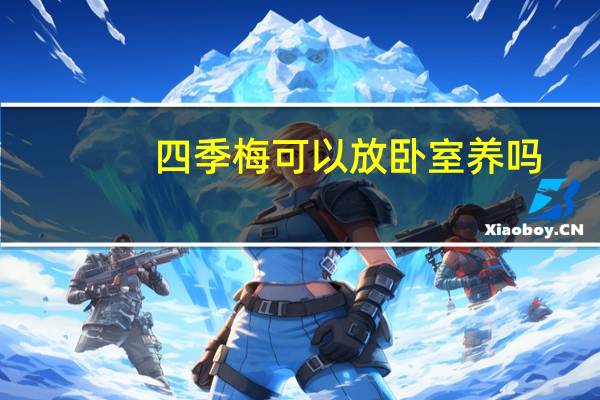 四季梅可以放卧室养吗