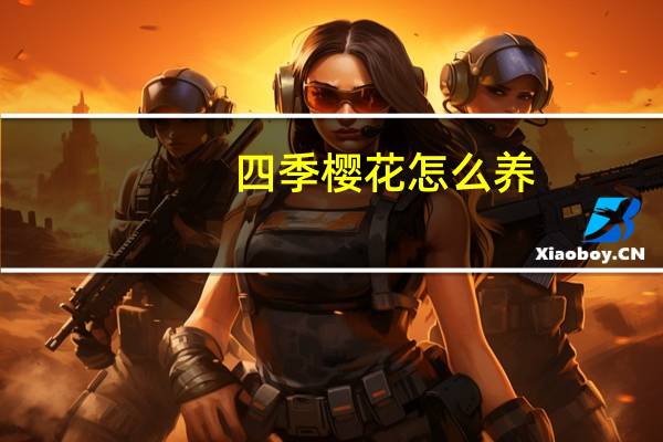 四季樱花怎么养