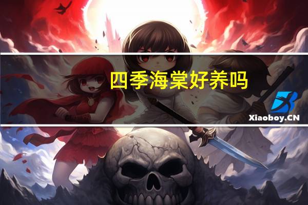 四季海棠好养吗：养好四季秋海棠水肥管理是关键