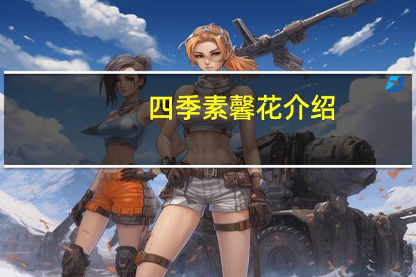 四季素馨花介绍