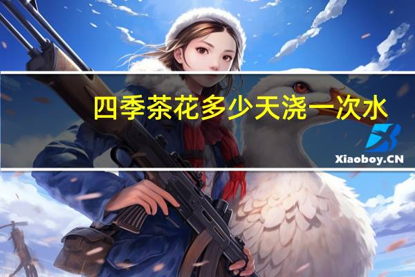 四季茶花多少天浇一次水