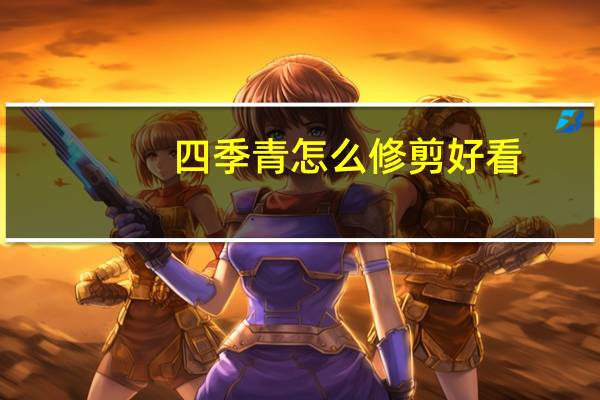 四季青怎么修剪好看