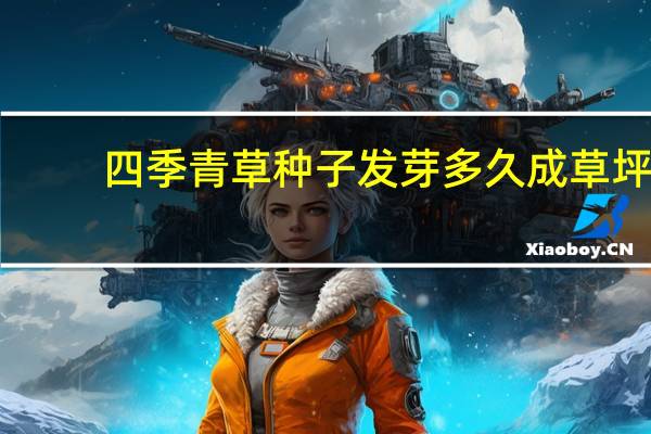 四季青草种子发芽多久成草坪