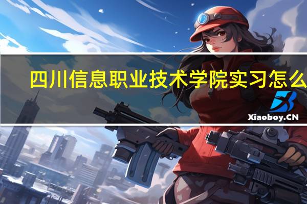 四川信息职业技术学院实习怎么样