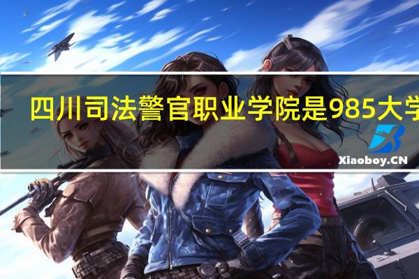四川司法警官职业学院是985大学吗