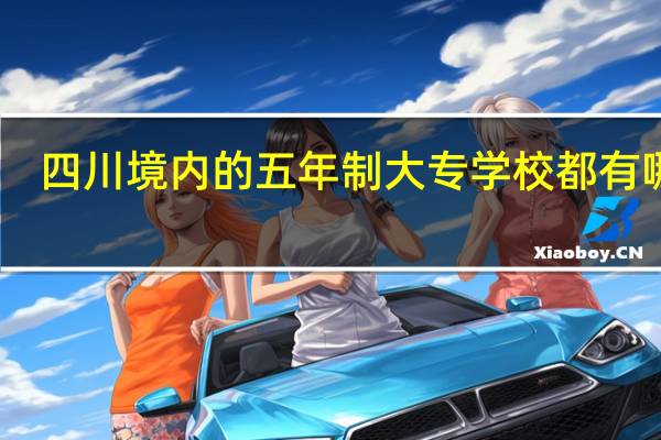 四川境内的五年制大专学校都有哪些。。。。。45