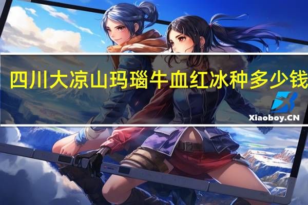 四川大凉山玛瑙牛血红冰种多少钱一克