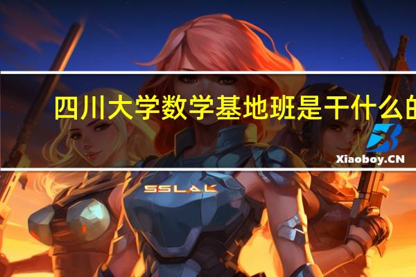 四川大学数学基地班是干什么的