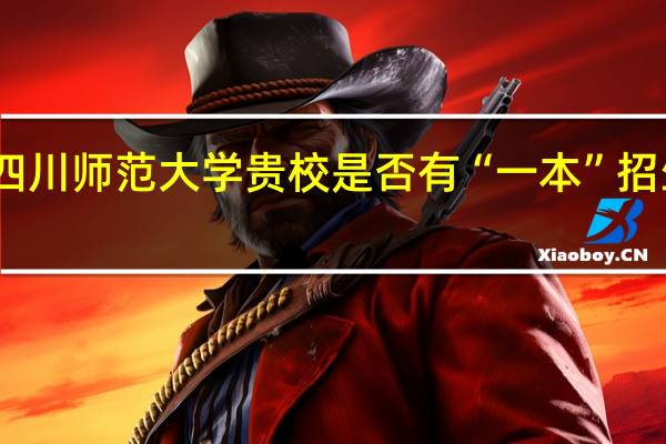 四川师范大学贵校是否有“一本”招生专业？