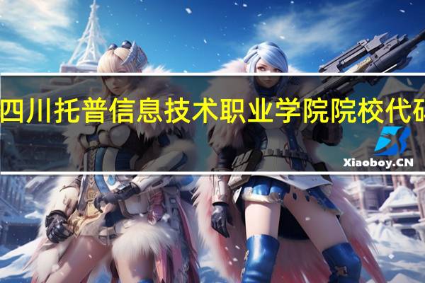 四川托普信息技术职业学院院校代码多少