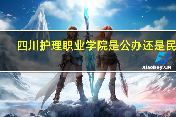 四川护理职业学院是公办还是民办