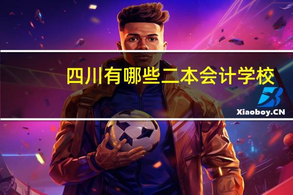 四川有哪些二本会计学校