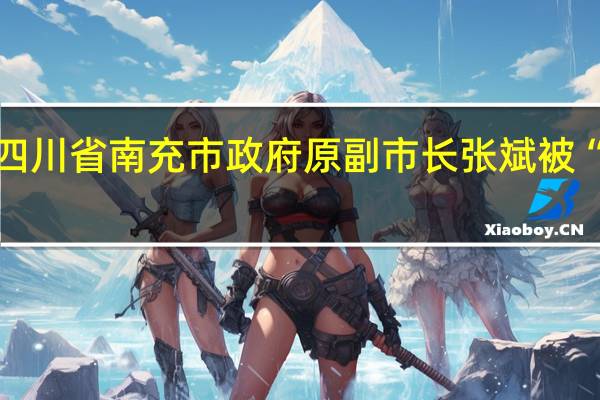 四川省南充市政府原副市长张斌被“双开”：带头破规破纪破法败坏风气