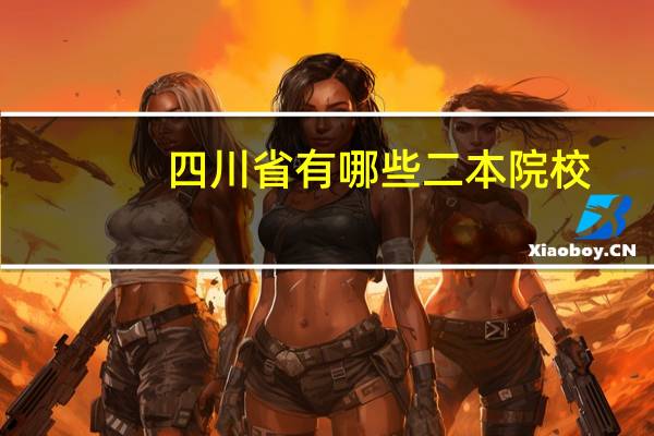 四川省有哪些二本院校