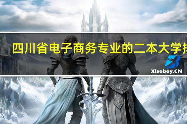 四川省电子商务专业的二本大学排名