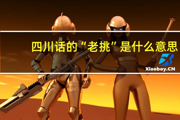 四川话的“老挑”是什么意思