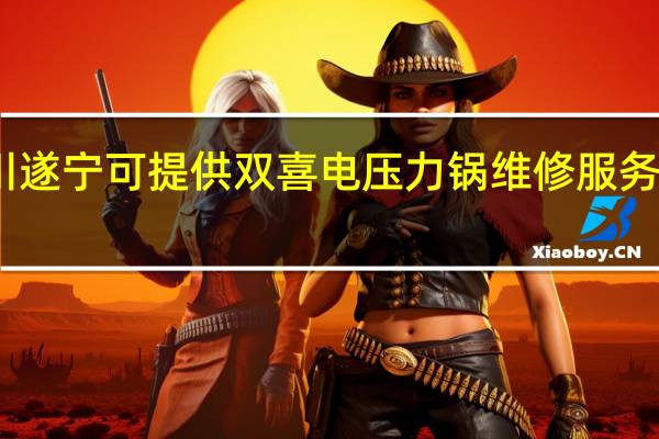 四川遂宁可提供双喜电压力锅维修服务地址在哪