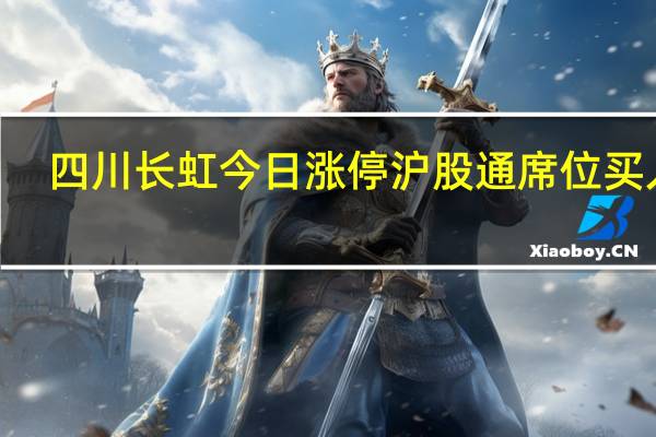 四川长虹今日涨停 沪股通席位买入2.48亿元并卖出1.52亿元