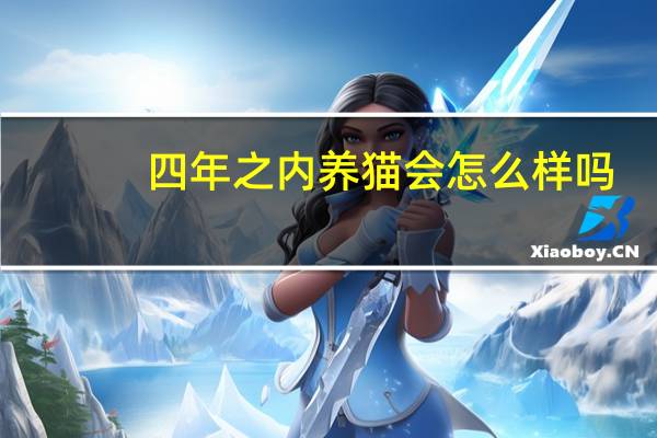 四年之内养猫会怎么样吗