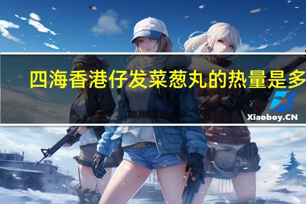 四海 香港仔发菜葱丸的热量是多少