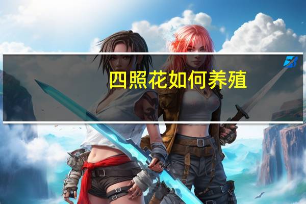 四照花如何养殖